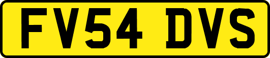 FV54DVS