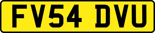 FV54DVU