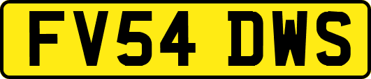 FV54DWS