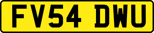 FV54DWU