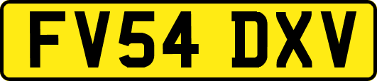 FV54DXV