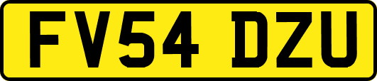 FV54DZU
