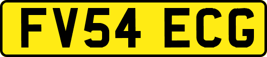 FV54ECG