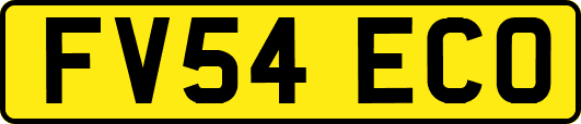 FV54ECO