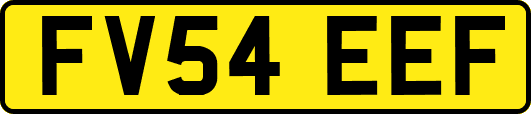 FV54EEF