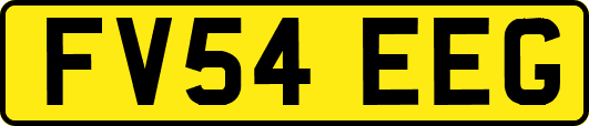 FV54EEG