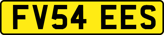 FV54EES