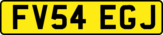 FV54EGJ