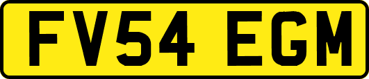 FV54EGM