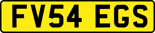 FV54EGS