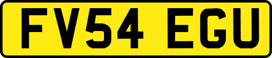 FV54EGU