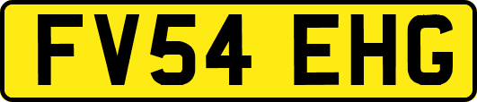 FV54EHG