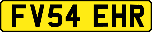 FV54EHR