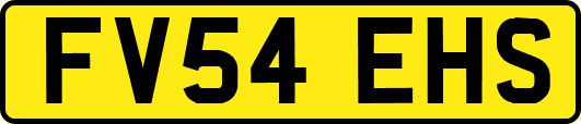 FV54EHS