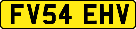 FV54EHV