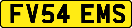 FV54EMS