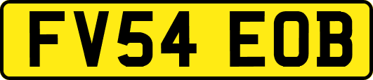 FV54EOB