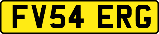 FV54ERG
