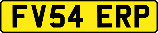 FV54ERP