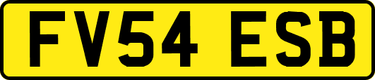FV54ESB