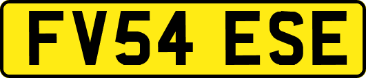 FV54ESE