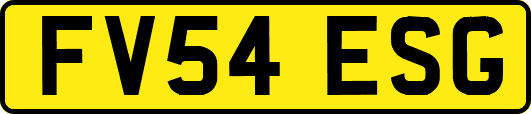 FV54ESG