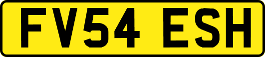 FV54ESH