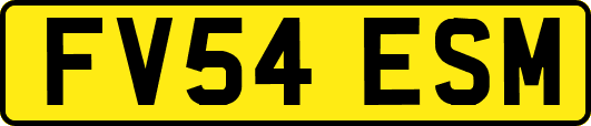 FV54ESM