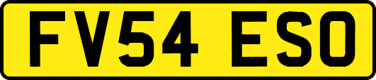 FV54ESO