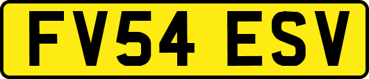 FV54ESV