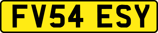 FV54ESY
