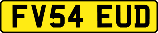 FV54EUD