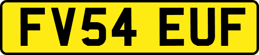 FV54EUF