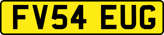 FV54EUG