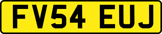 FV54EUJ