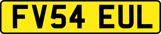 FV54EUL