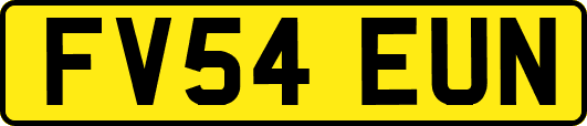FV54EUN