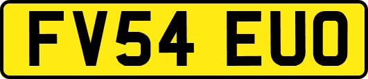 FV54EUO