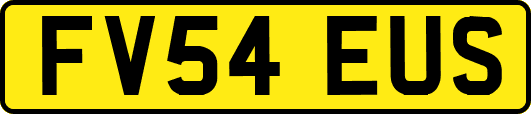 FV54EUS