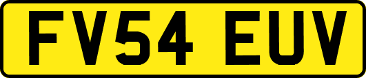 FV54EUV