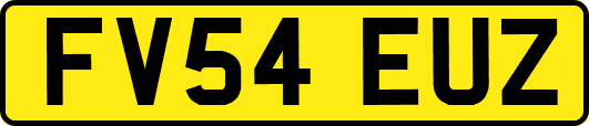 FV54EUZ
