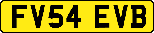 FV54EVB