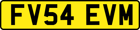 FV54EVM