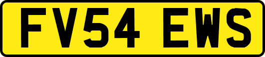FV54EWS