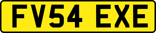 FV54EXE