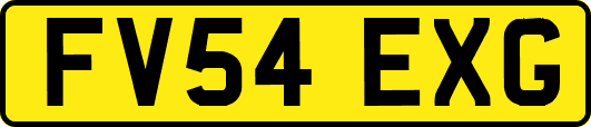 FV54EXG