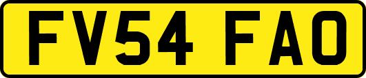 FV54FAO