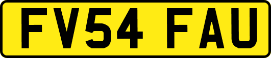 FV54FAU