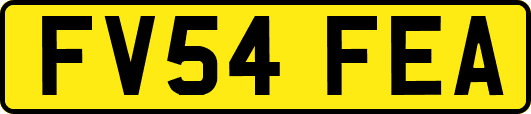 FV54FEA
