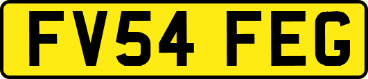FV54FEG